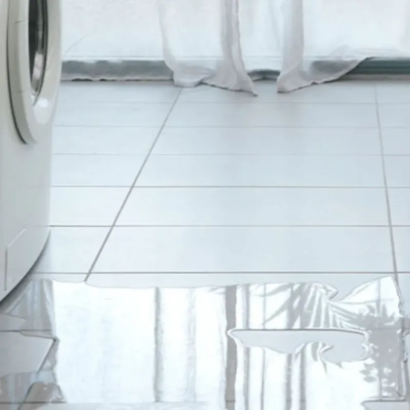 Appliance Leak Cleanup in Sanger, CA